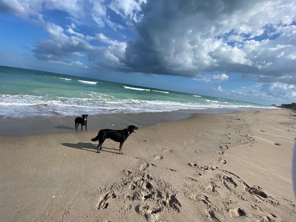 The Breezy Inn gallery photo in Jensen Beach, FL — image 38