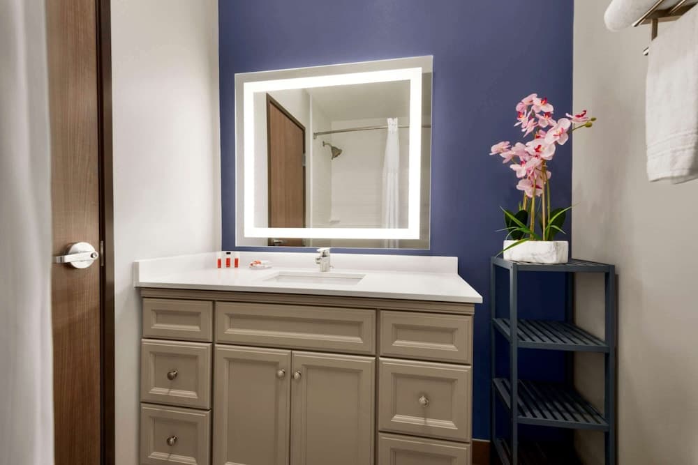 Days Inn & Suites by Wyndham Beaumont West / I-10 & Walden gallery photo in Beaumont, TX — image 19