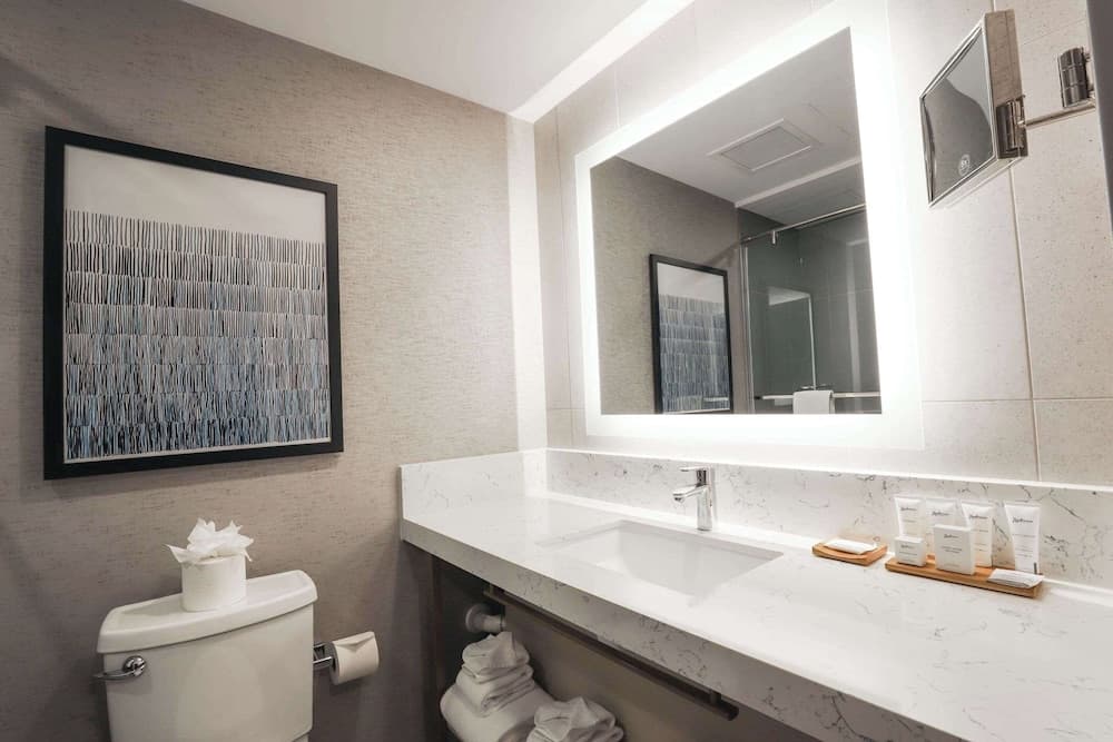 Radisson Plaza Hotel at Kalamazoo Center gallery photo in Kalamazoo, MI — image 49