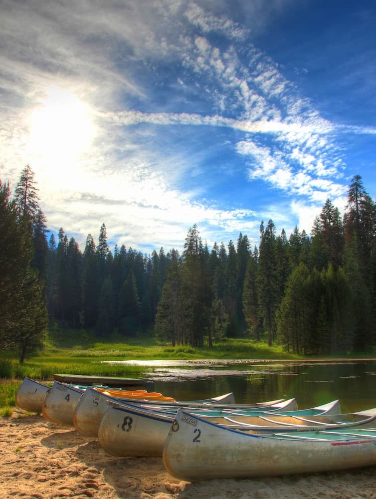 Montecito Sequoia Lodge gallery photo in Kings Canyon National Park, CA — image 15