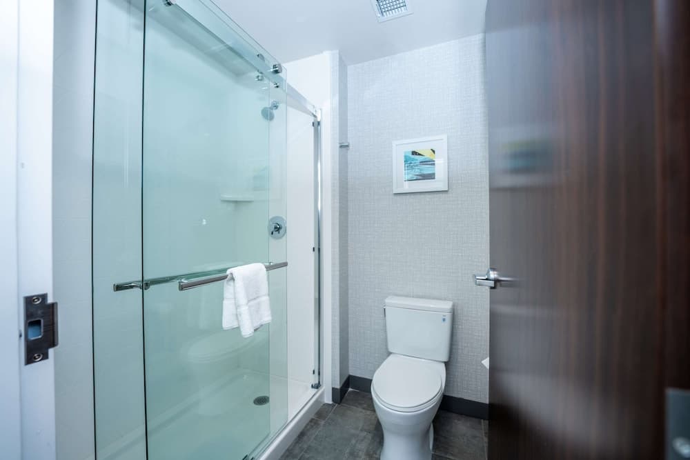 Hampton Inn & Suites Houston Sugar Land gallery photo in Sugar Land, TX — image 58