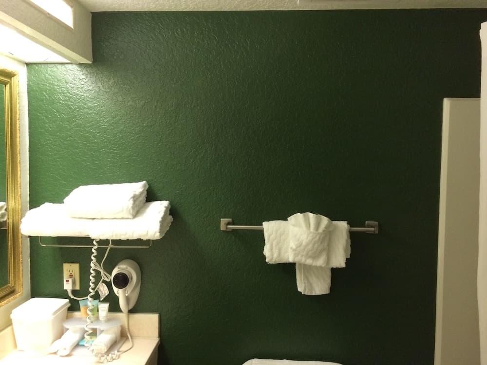 Ruskin Inn Hotel gallery photo in Ruskin, FL — image 41