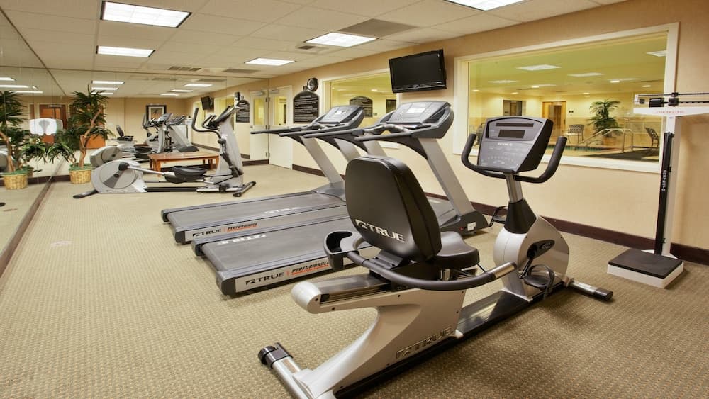 Holiday Inn Express Hotel & Suites Lincoln by IHG gallery photo in Lincoln, CA — image 28