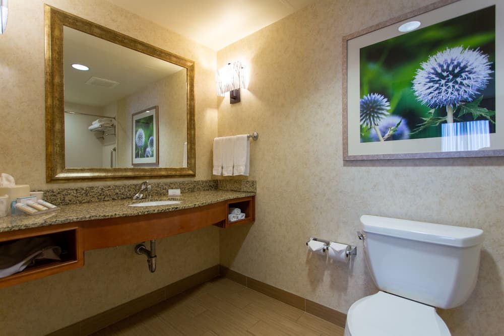 Hilton Garden Inn Cedar Falls gallery photo in Cedar Falls, IA — image 33