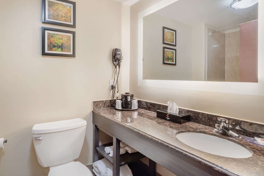 Comfort Inn Orange I-10 gallery photo in Orange, TX — image 8