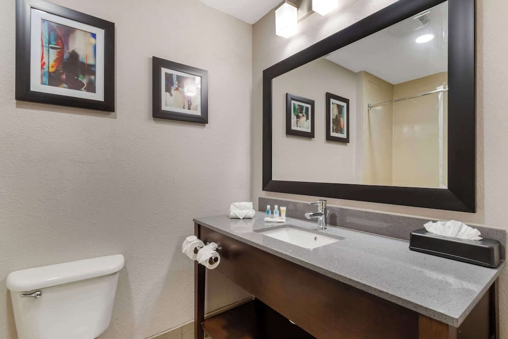 Comfort Suites Shenandoah-The Woodlands gallery photo in The Woodlands, TX — image 14