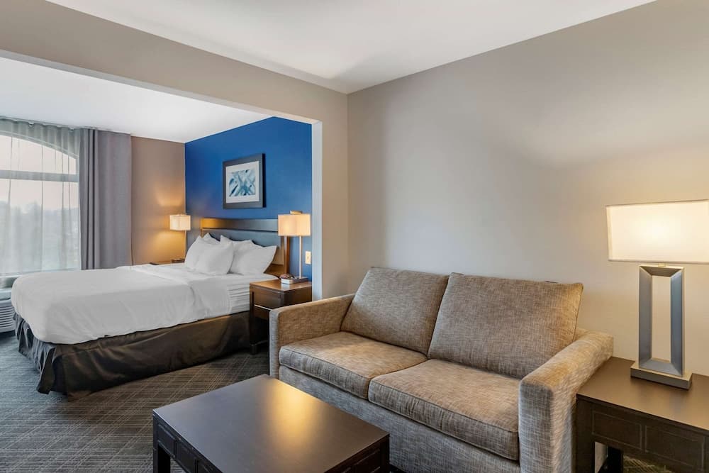 Comfort Inn & Suites Grand Blanc/Flint gallery photo in Grand Blanc, MI — image 17