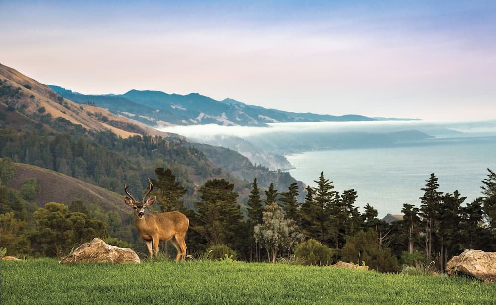 Post Ranch Inn property views in Big Sur — gallery photo 3