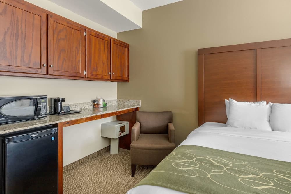 Comfort Suites Johnson City near University gallery photo in Johnson City, TN — image 26