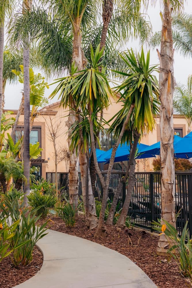 The Cove Hotel, Long Beach gallery photo in Long Beach, CA — image 54