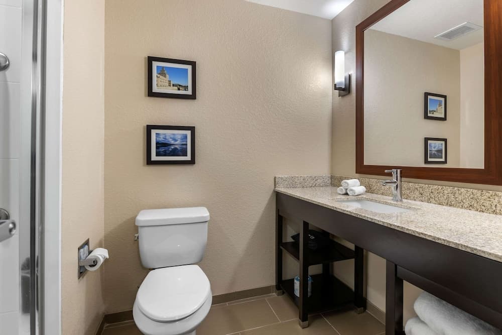 Comfort Inn & Suites Cedar Rapids CID Eastern Iowa Airport gallery photo in Cedar Rapids, IA — image 31