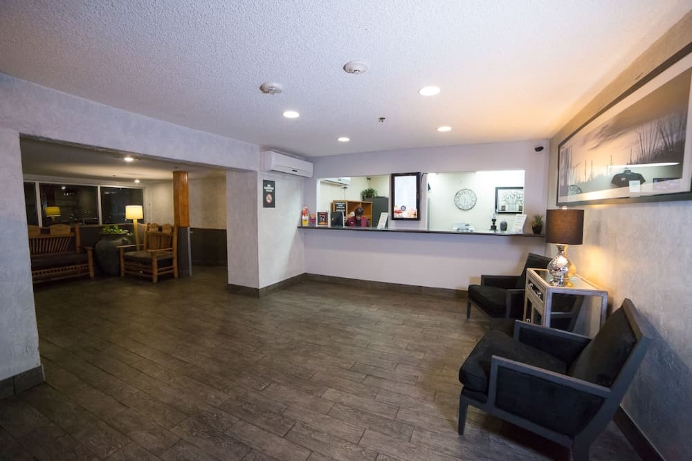 Hotel Jefe at Ojos Locos gallery photo in North Las Vegas, NV — image 64