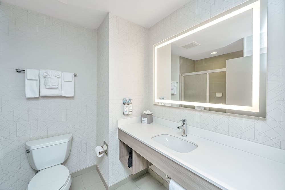 Holiday Inn Express & Suites Charleston Arpt-Conv Ctr Area gallery photo in North Charleston, SC — image 41