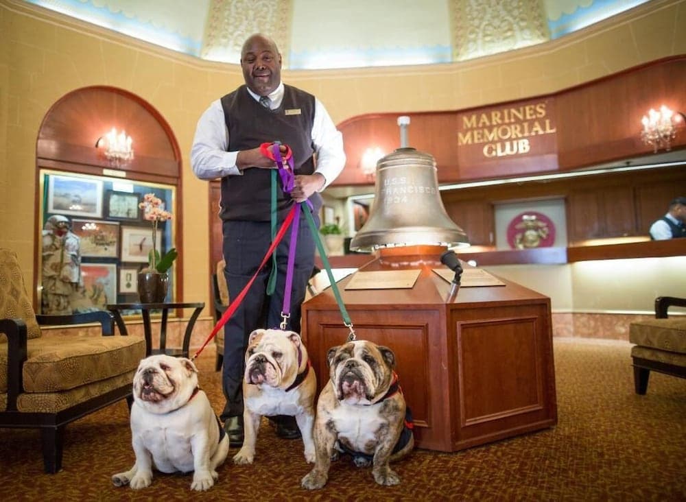 Marines' Memorial Club & Hotel Union Square gallery photo in San Francisco, CA — image 36