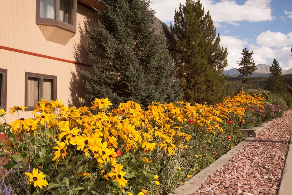 Valley Hi Motel - Near Winter Park Visitor Center property views in Winter Park, CO — gallery photo 3