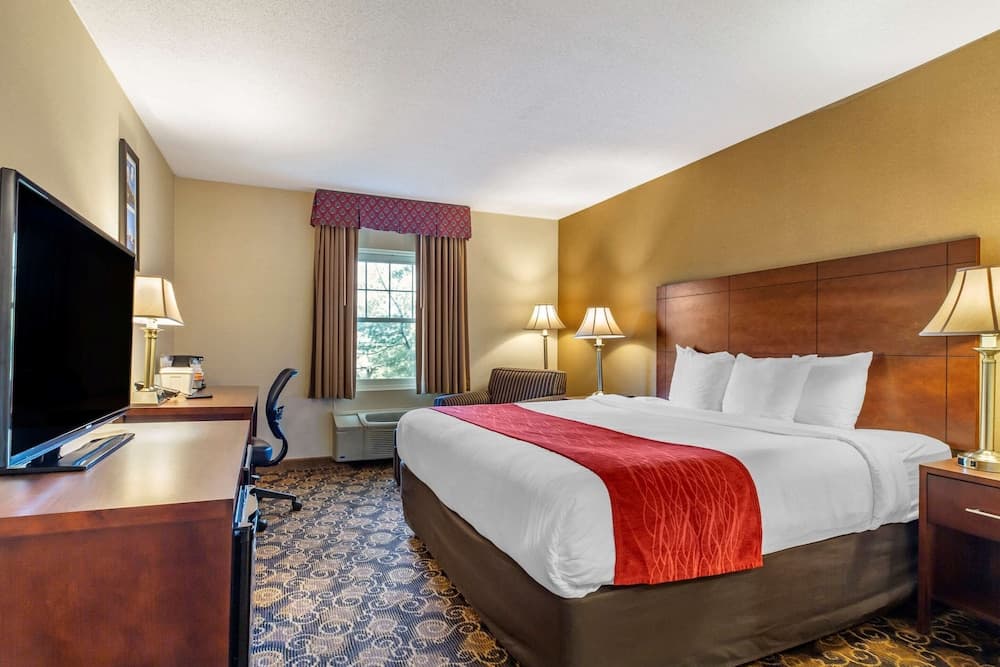 Comfort Inn Rockland - Boston gallery photo in Rockland — image 43
