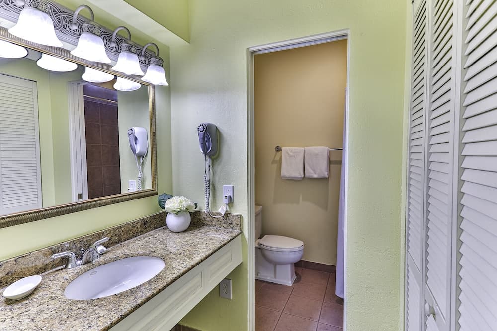 Plantation Resort on Crystal River, Ascend Hotel Collection gallery photo in Crystal River, FL — image 21