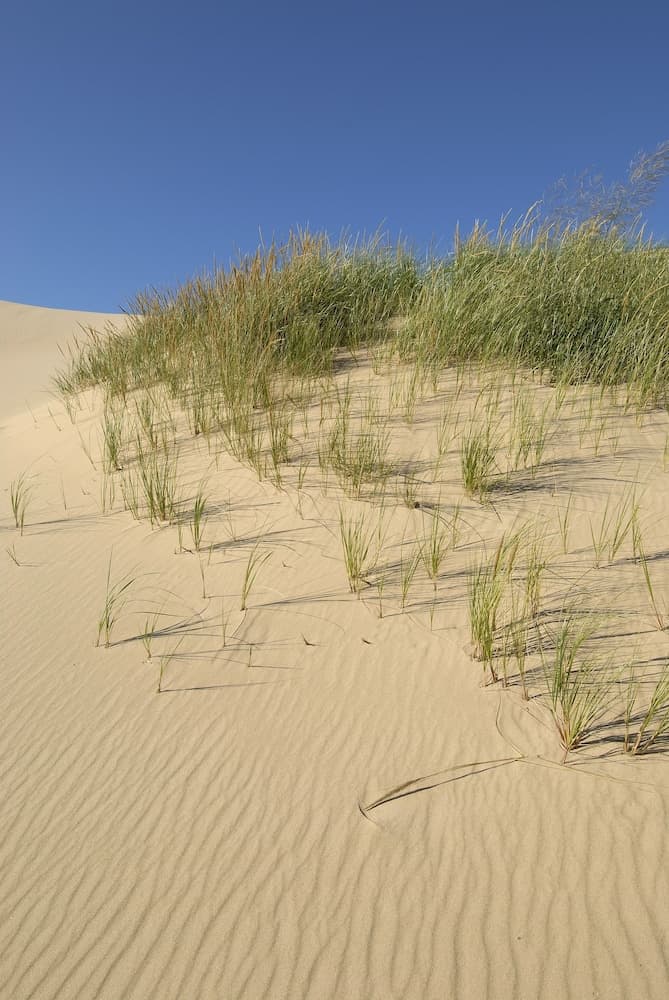 Dunes Waterfront Resort gallery photo in Mears, MI — image 38