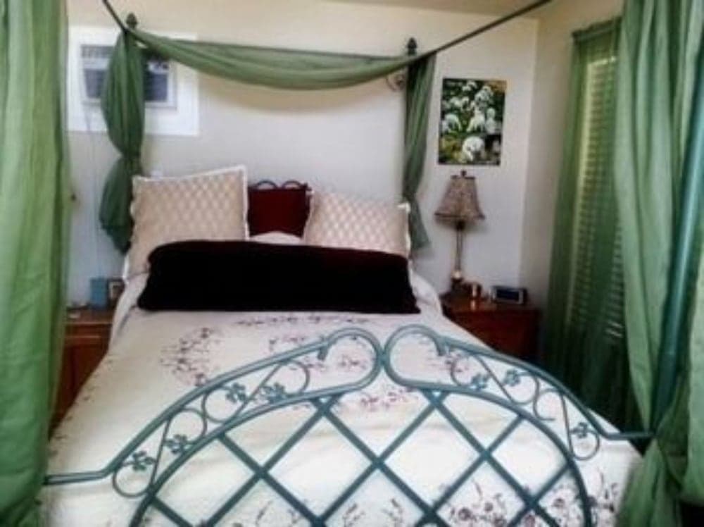 Old Irish Inn property views in Denton, TX — gallery photo 3
