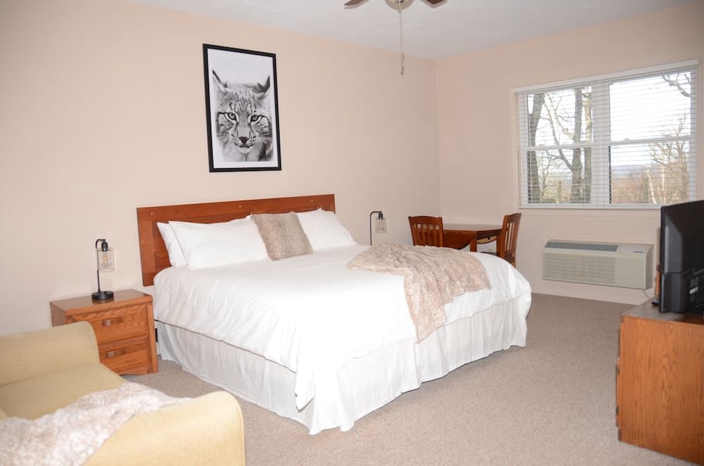Bent Mountain Lodge property views in Copper Hill — gallery photo 3