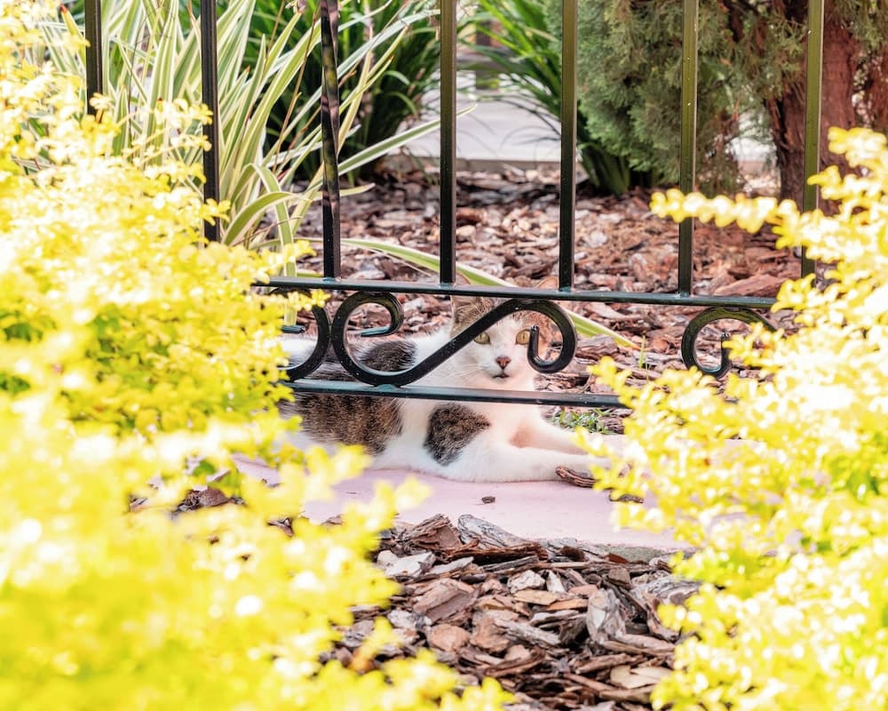 The Hacienda gallery photo in New Port Richey, FL — image 32