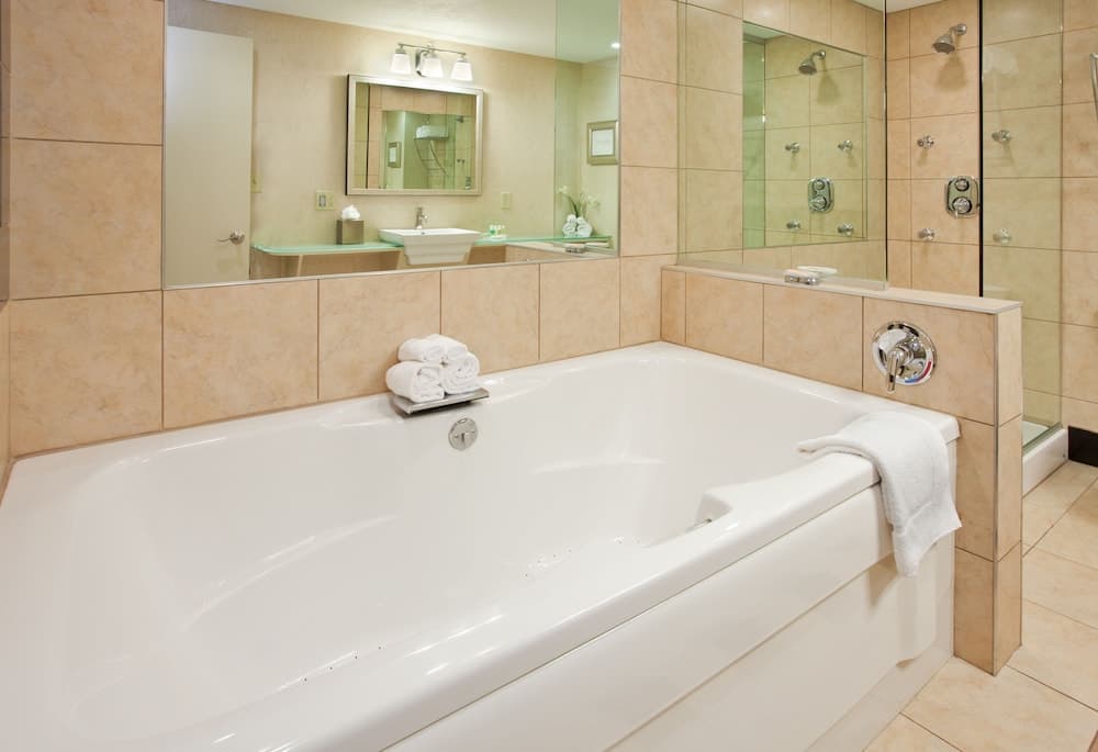 Holiday Inn Manhattan at the Campus by IHG property views in Manhattan, KS — gallery photo 3