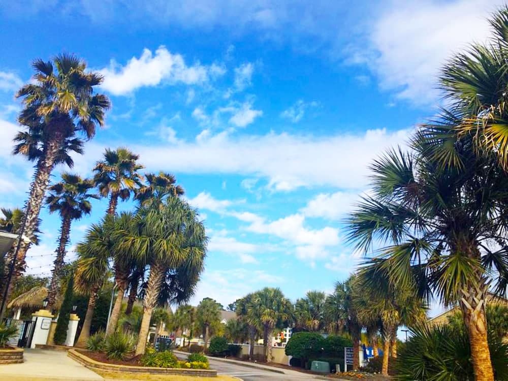 Grand Palms Resort gallery photo in Myrtle Beach, SC — image 33