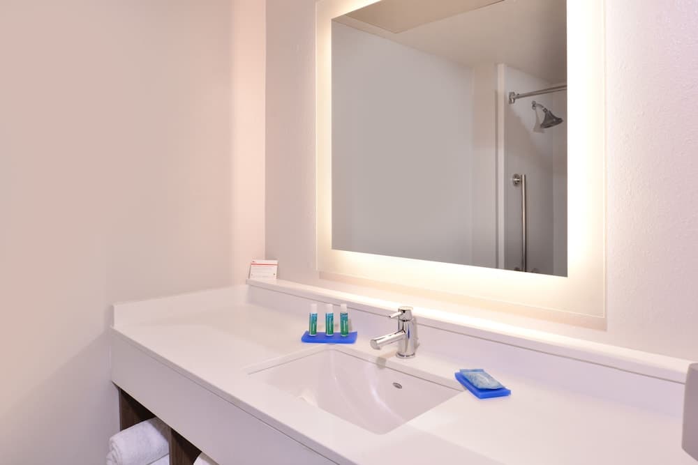 Holiday Inn Express Hotel & Suites Mesquite by IHG gallery photo in Mesquite, TX — image 38