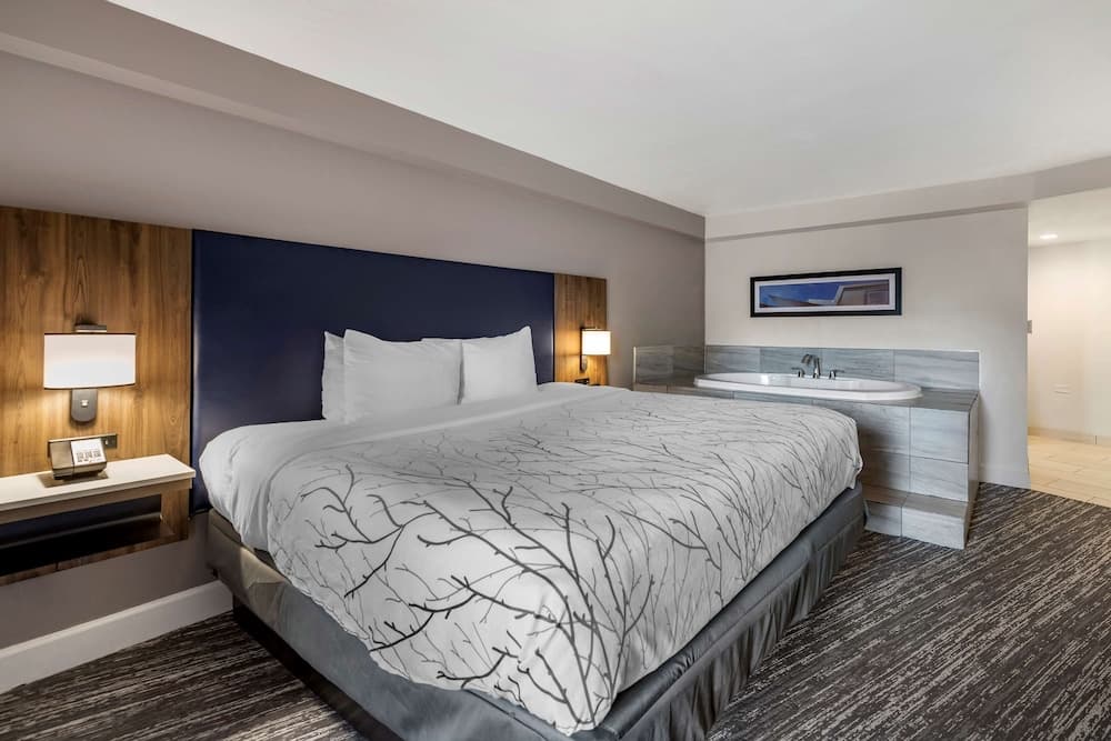 Best Western Premier Denver East interior in Denver, CO — gallery photo 2
