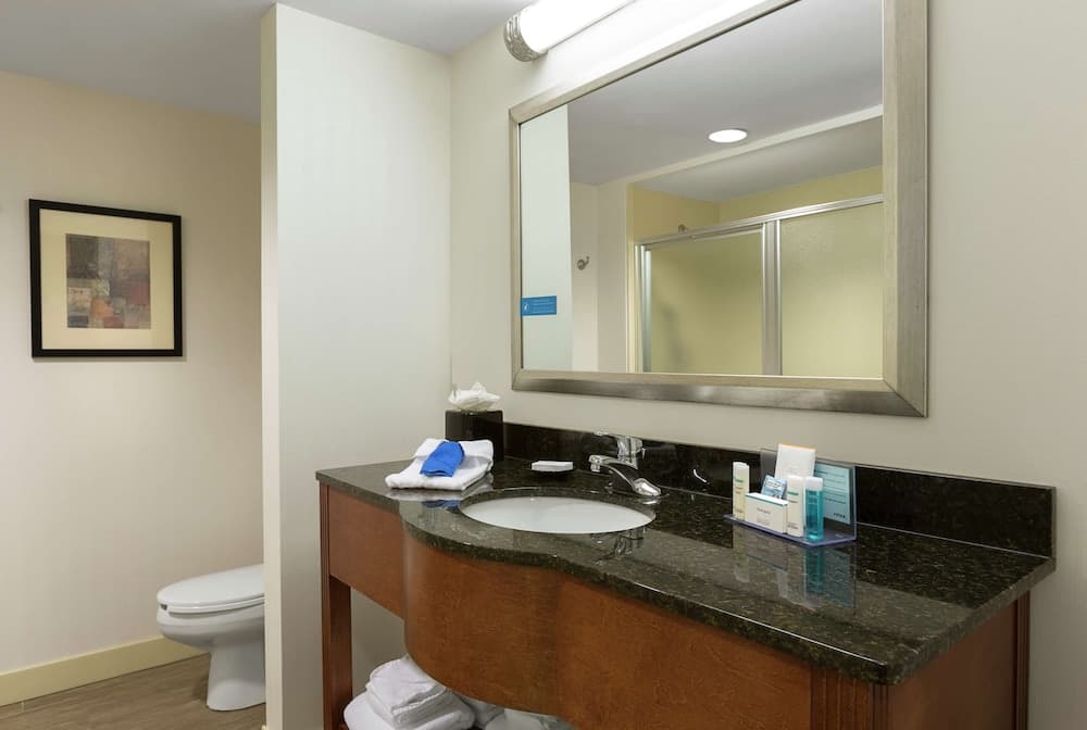 Hampton Inn Charlotte-Belmont at Montcross gallery photo in Belmont, NC — image 14