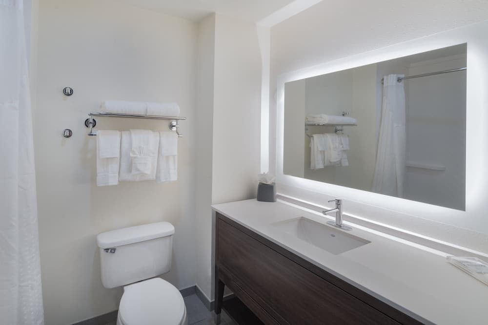 Holiday Inn Southaven Central - Memphis by IHG gallery photo in Southaven, MS — image 77