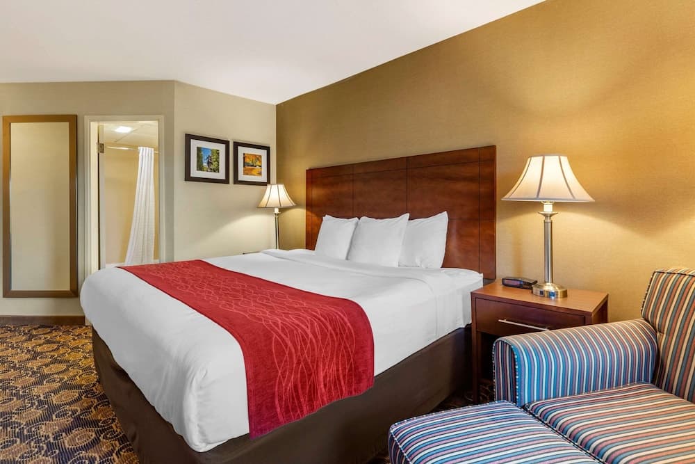 Comfort Inn Rockland - Boston gallery photo in Rockland — image 12