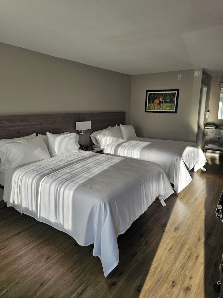 Quality Inn & Suites Ocala I-75 interior in Ocala, FL — gallery photo 2