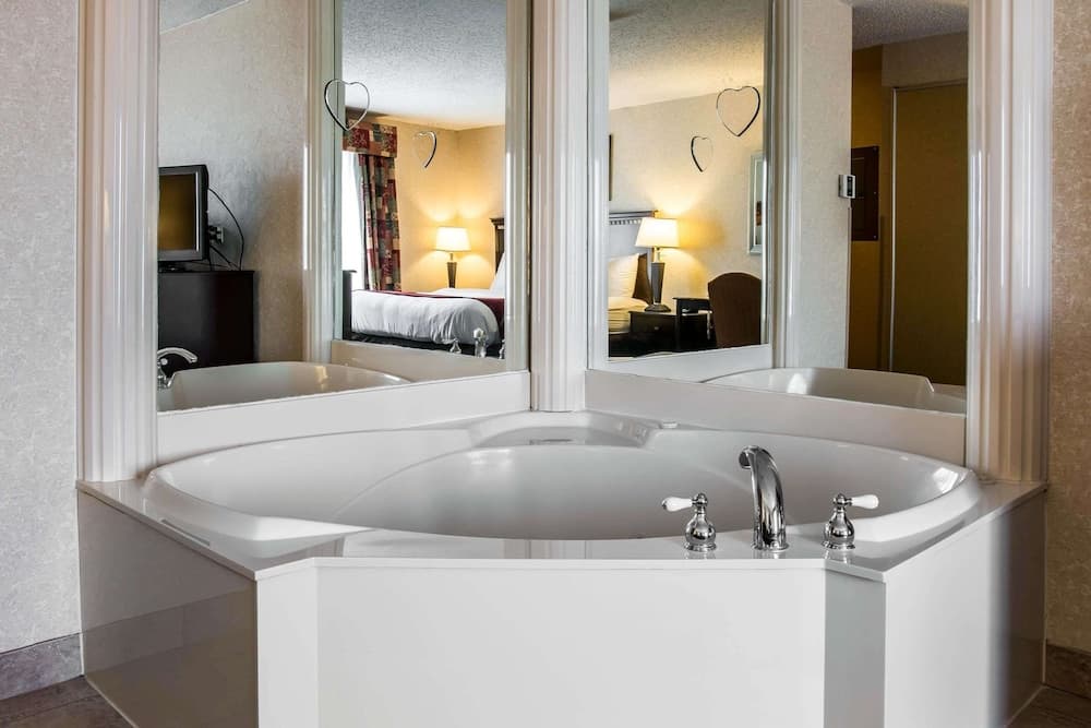 Comfort Suites Canton - Detroit gallery photo in Canton — image 4