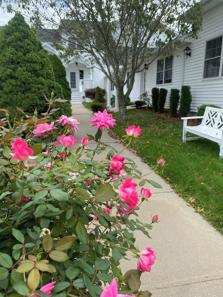 The Taber Inne & Suites gallery photo in Mystic, CT — image 22