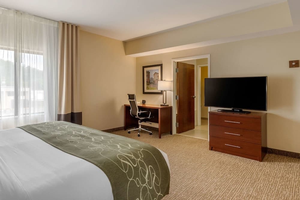 Comfort Suites Johnson City near University gallery photo in Johnson City, TN — image 45
