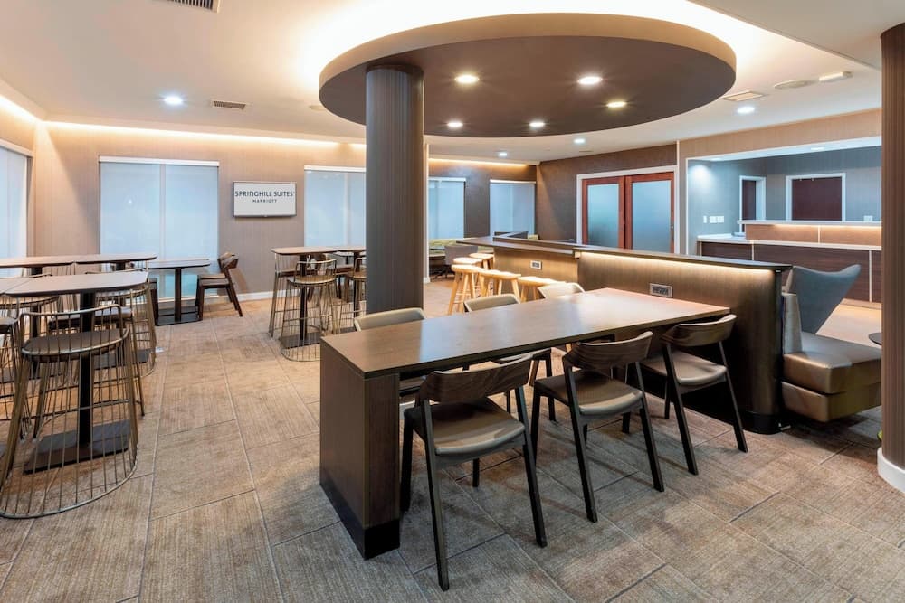 SpringHill Suites by Marriott Rochester-Mayo Clinic/St Marys property views in Rochester, MN — gallery photo 3