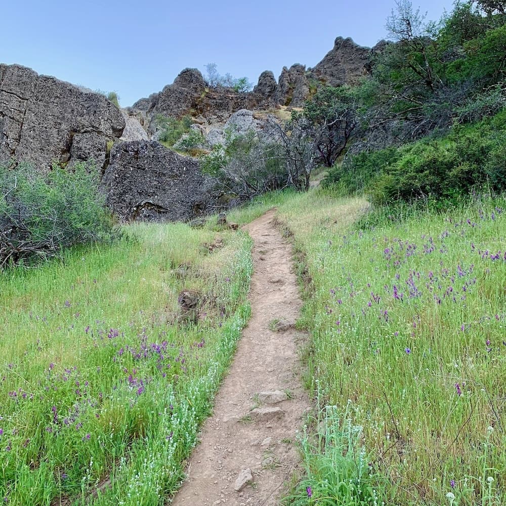 Cottage Grove Inn gallery photo in Calistoga, CA — image 31