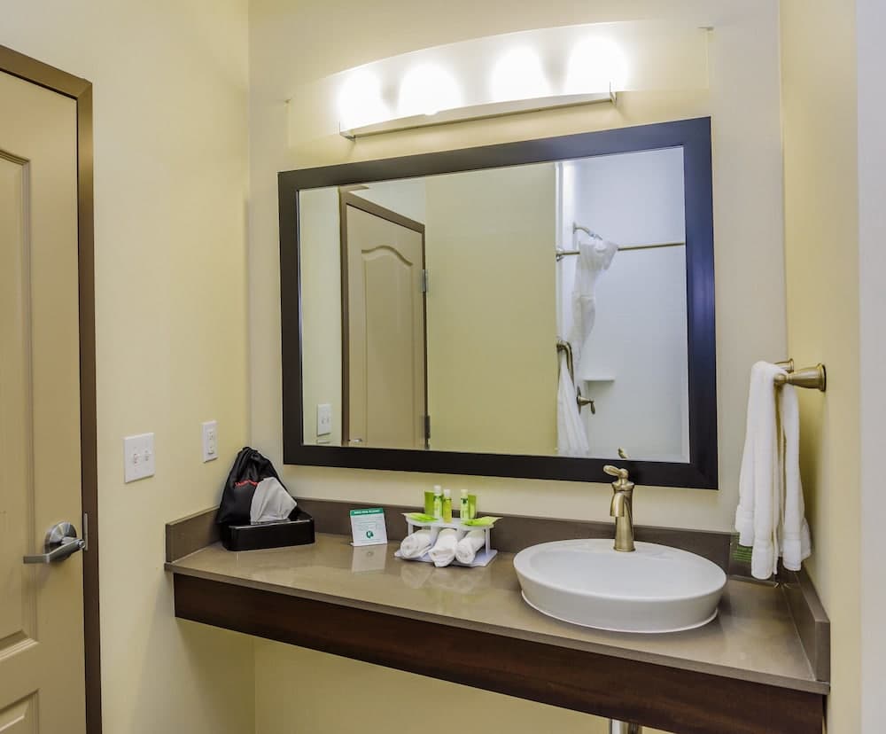 Holiday Inn Express Cheektowaga North East by IHG gallery photo in Buffalo, NY — image 16