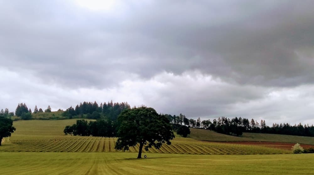 The Boutique Retreat gallery photo in McMinnville, OR — image 16