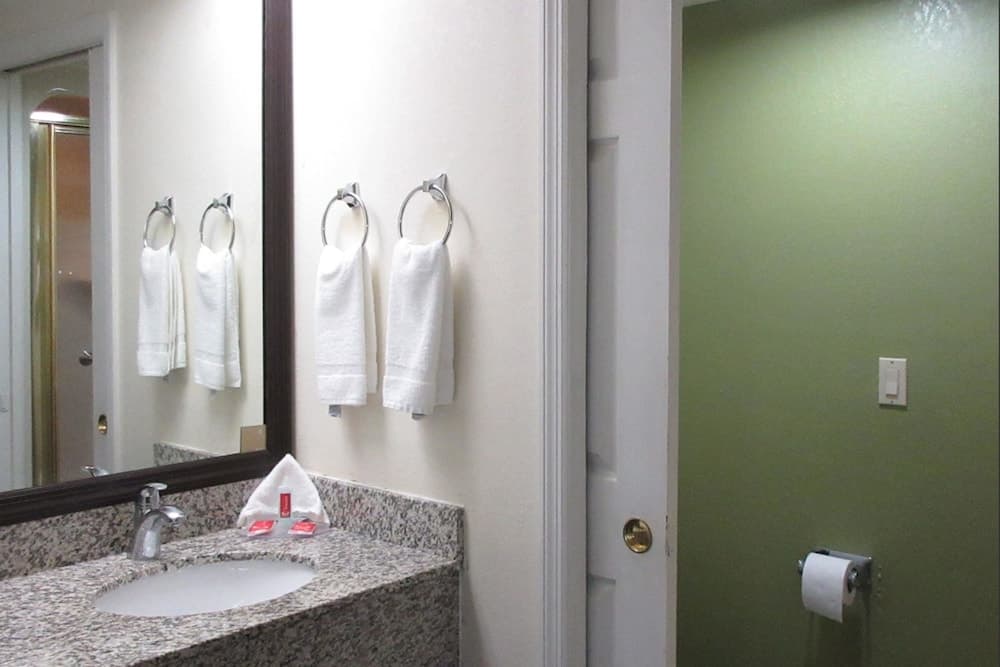 Rodeway Inn Albany South property views in Albany, GA — gallery photo 3
