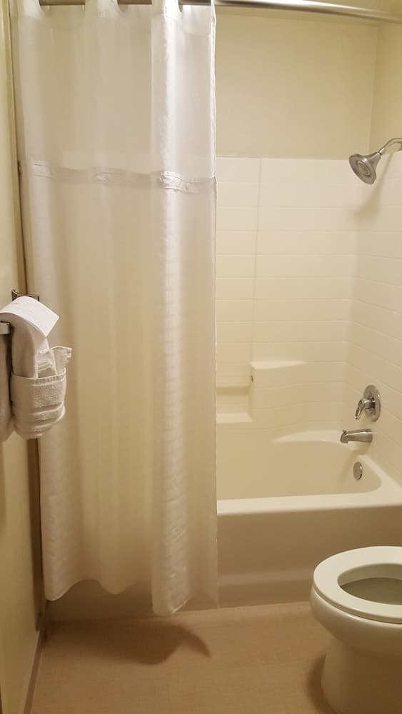 Comfort Inn & Suites Sequoia/Kings Canyon gallery photo in Three Rivers, CA — image 4