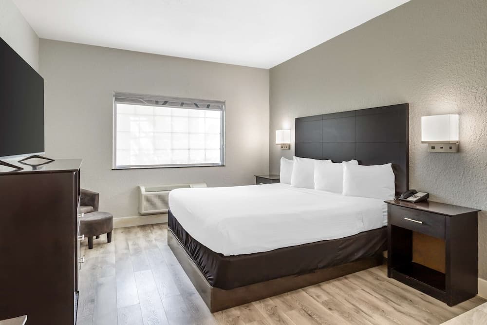 Best Western Texas City I-45 gallery photo in Texas City, TX — image 10