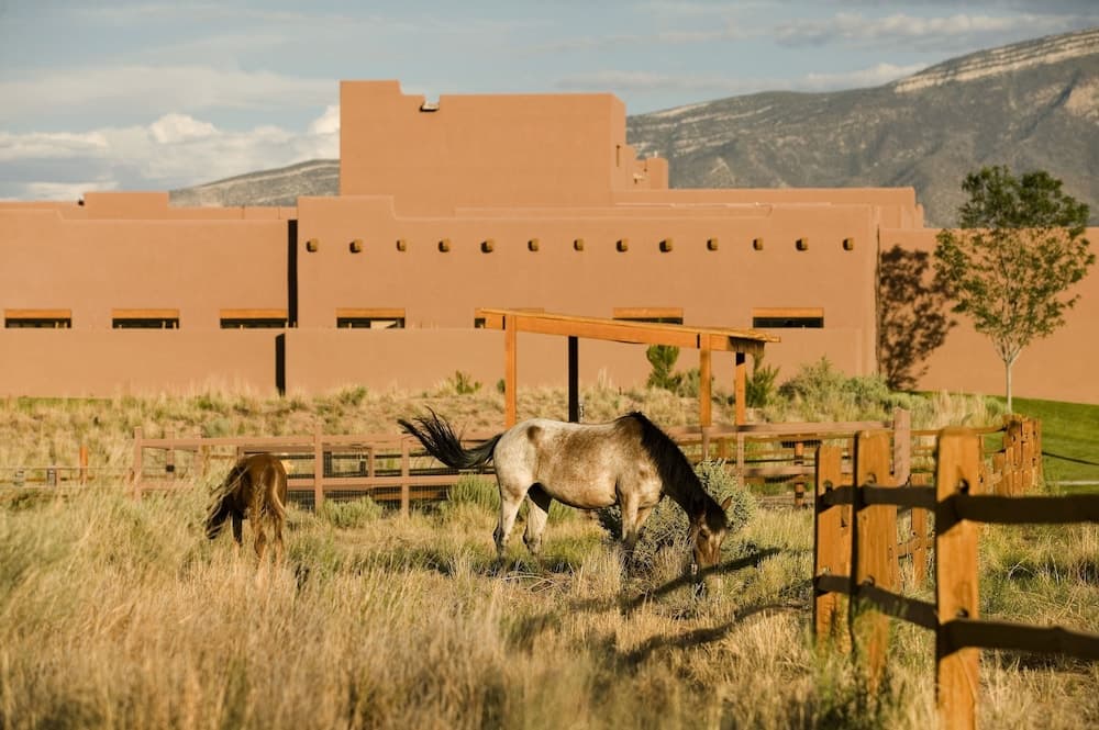 Hyatt Regency Tamaya Resort & Spa gallery photo in Santa Ana Pueblo, NM — image 67