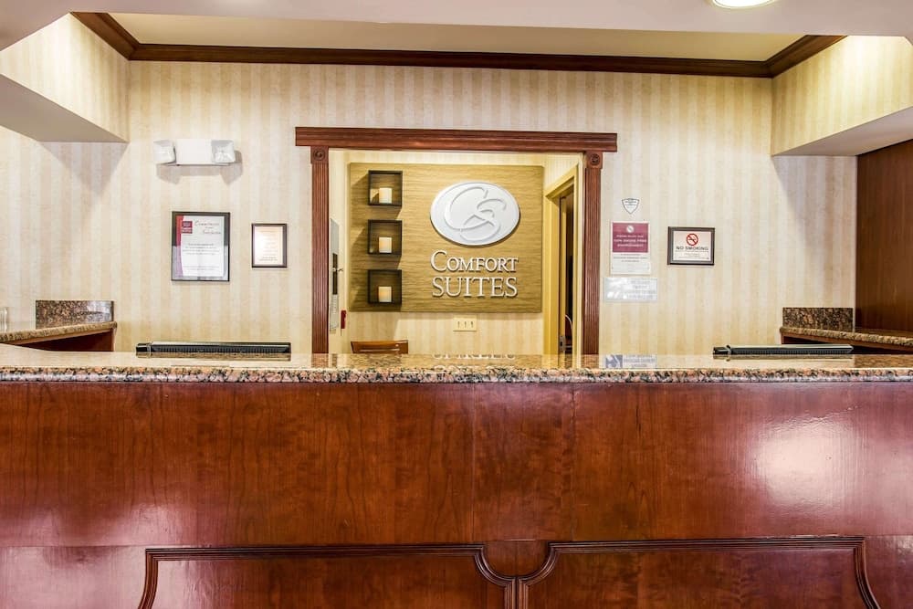 Comfort Suites Canton - Detroit gallery photo in Canton — image 36