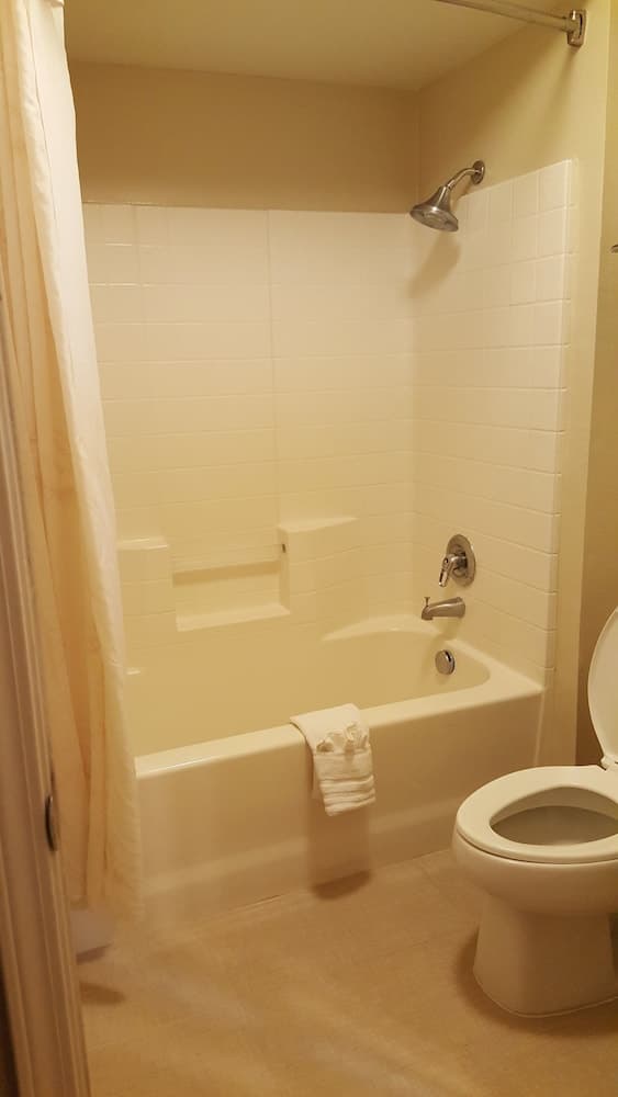 Comfort Inn & Suites Sequoia/Kings Canyon property views in Three Rivers, CA — gallery photo 3