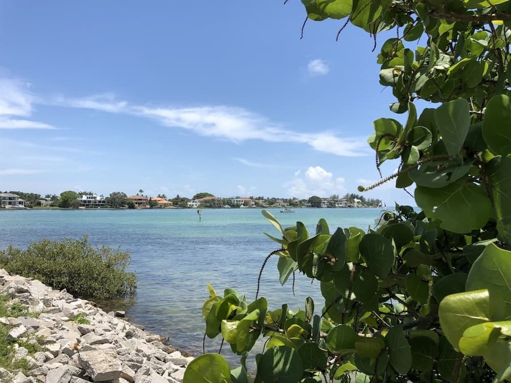 The Mermaid and the Sea Turtle property views in Largo, FL — gallery photo 3