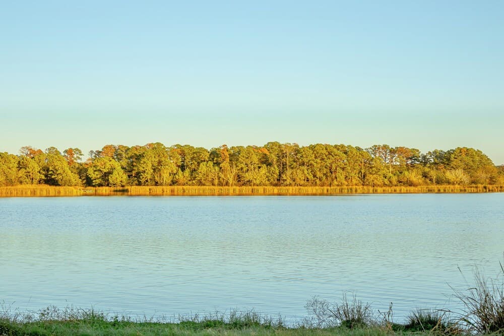GLAT Austin property views in Bastrop, TX — gallery photo 3