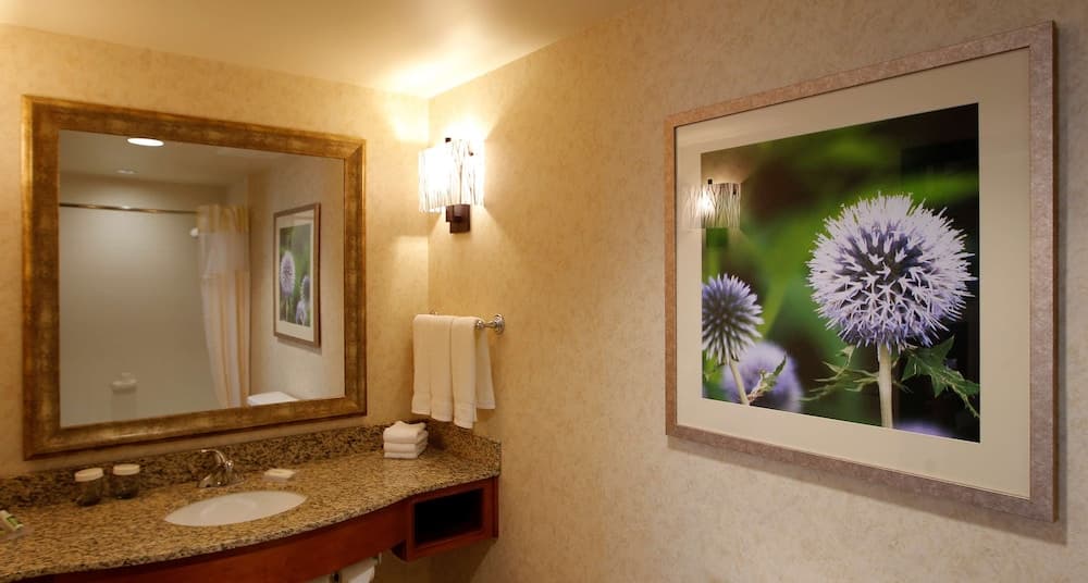 Hilton Garden Inn Cedar Falls gallery photo in Cedar Falls, IA — image 43