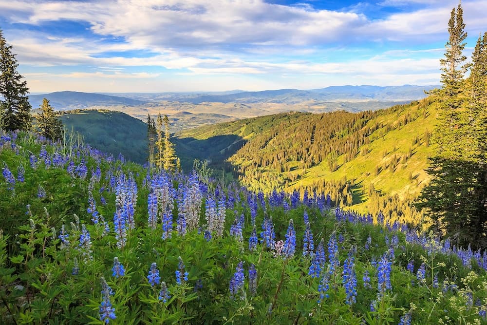 The Residences at Blackstone interior in Park City, UT — gallery photo 2
